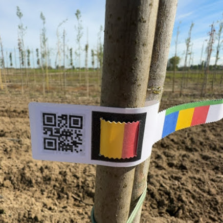 Tree Labels (up to 20 cm)